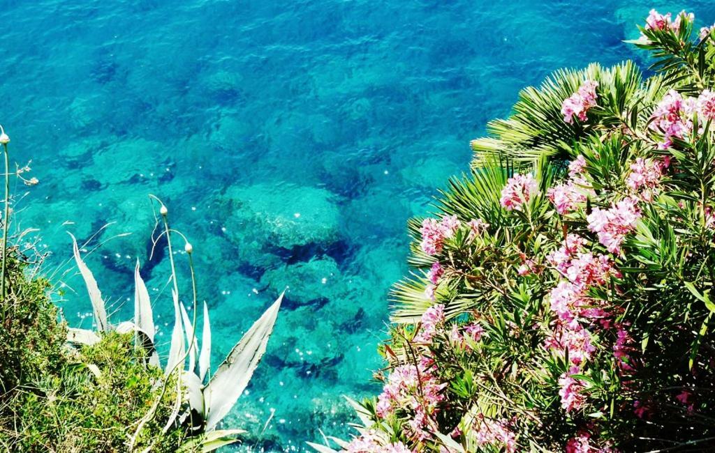 Nice Apartment & Room In Cavtat Exterior photo